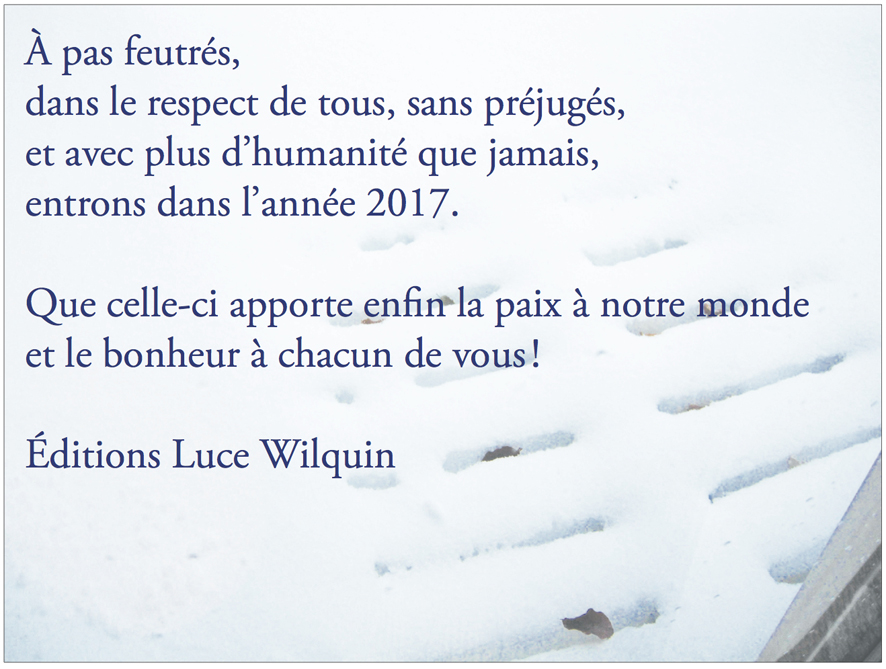 voeux2017blog